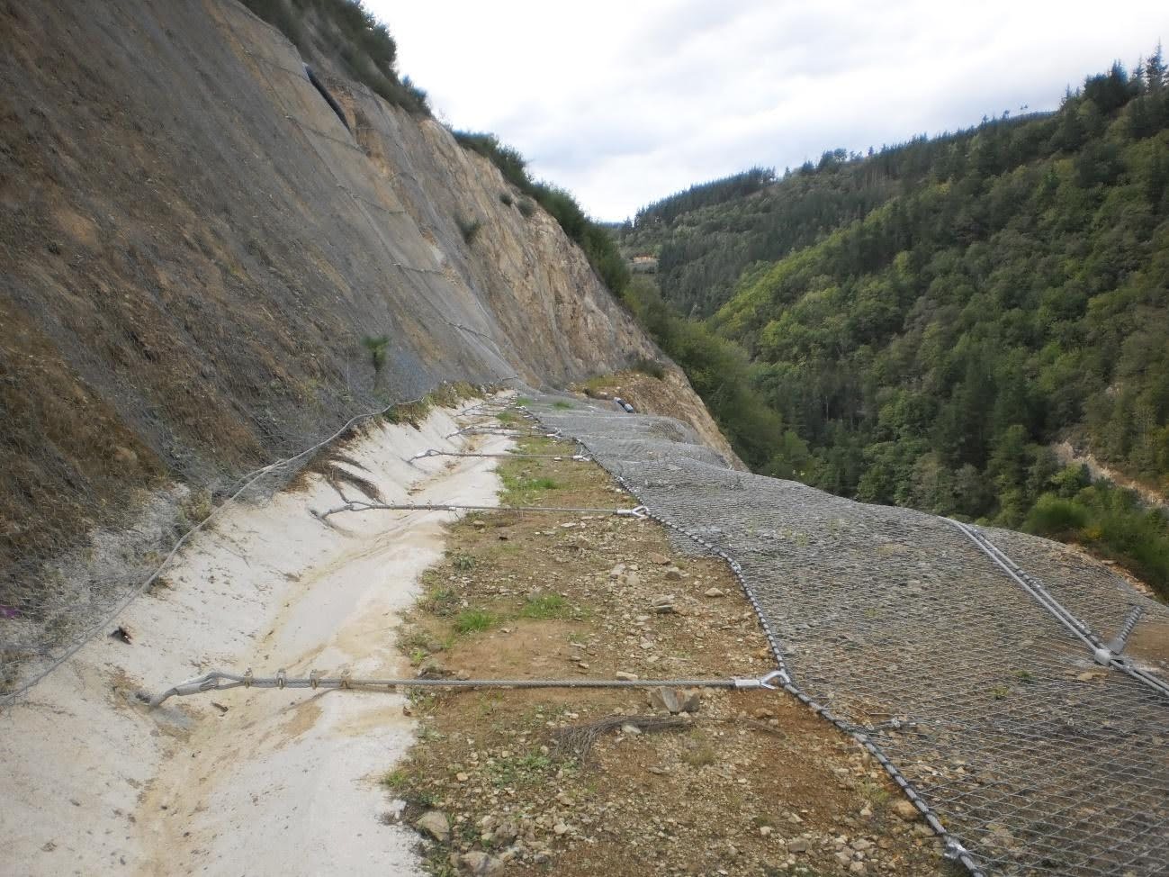 Diseño de estabilización de talud en el P.K. 41+100 de la carretera AS_219 Pola de Allende – Asturias
